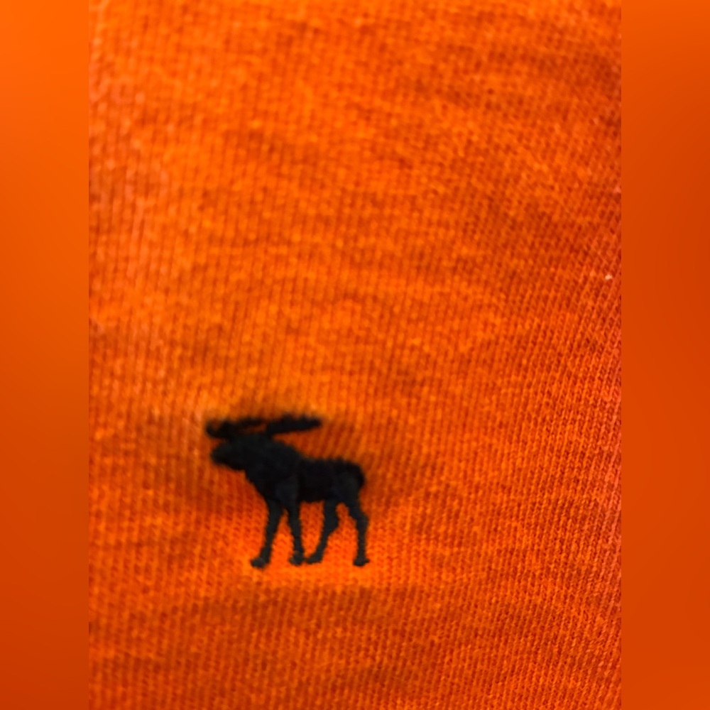 Abercrombie & Fitch Y2K Orange Moose Logo Crewneck Sweat Men’s LG 100% Cotton - Picture 3 of 8